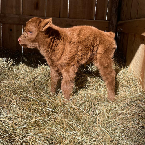 473314373_1303317301071832_3670783705087600408_n