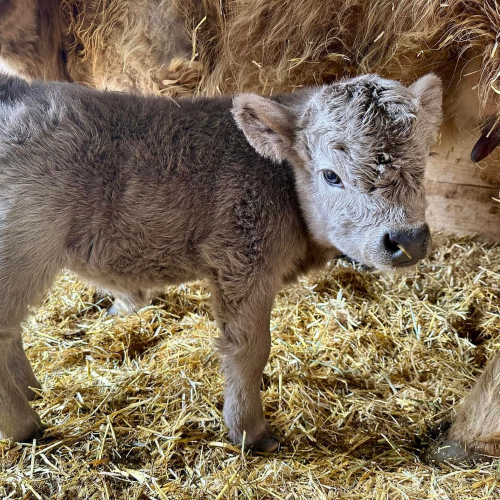 481229333_632054039763122_4717613154324422521_n